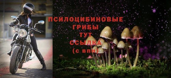 гидра Алзамай