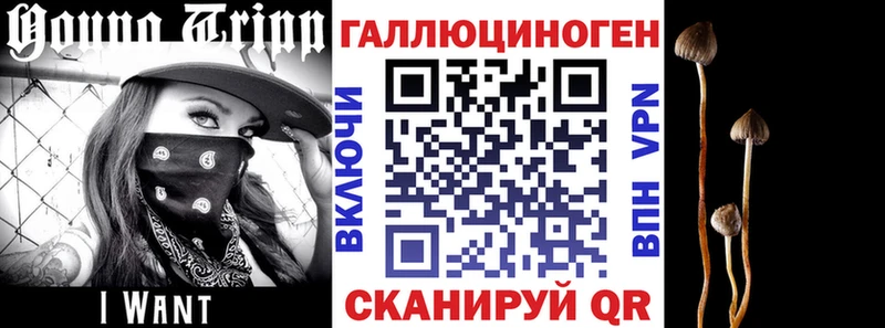 Галлюциногенные грибы Psilocybine cubensis блэк спрут tor Сасово